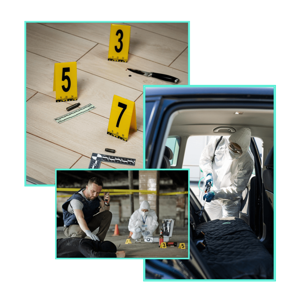 biohazard cleanup services Pearland